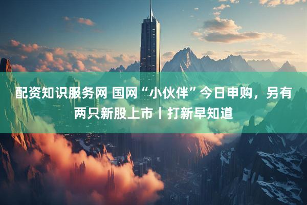 配资知识服务网 国网“小伙伴”今日申购，另有两只新股上市丨打新早知道